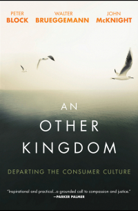  - An Other Kingdom. Departing the Consumer Culture
