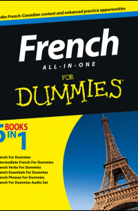 Consumer Dummies - French All-in-One For Dummies