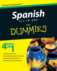 Consumer Dummies - Spanish All-in-One For Dummies