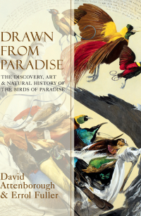 Drawn From Paradise: The Discovery, Art and Natural History of the Birds of Paradise