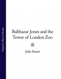 Джулия Стюарт - Balthazar Jones and the Tower of London Zoo