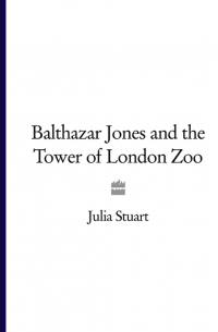 Джулия Стюарт - Balthazar Jones and the Tower of London Zoo