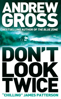 Эндрю Гросс - Don’t Look Twice