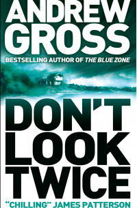 Эндрю Гросс - Don’t Look Twice