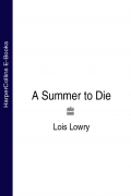 Лоис Лоури - A Summer to Die