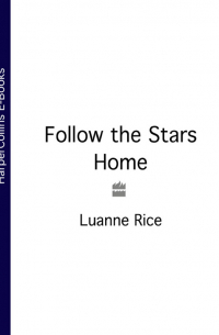 Луанн Райс - Follow the Stars Home