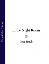 Питер Страуб - In the Night Room