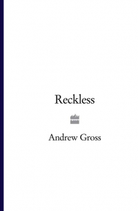 Эндрю Гросс - Reckless