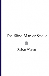 The Blind Man of Seville