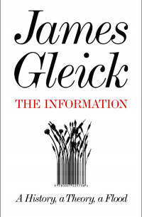 Джеймс Глейк - The Information: A History, a Theory, a Flood