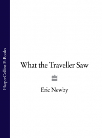 Эрик Ньюби - What the Traveller Saw