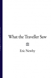 Эрик Ньюби - What the Traveller Saw