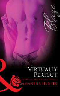 Samantha Hunter - Virtually Perfect
