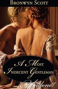 A Most Indecent Gentleman