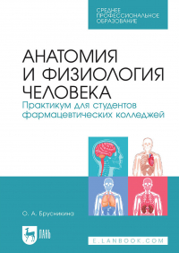 О. А. Брусникина - Анатомия и физиология человека. Практикум для студентов фармацевтических колледжей. Учебное пособие для СПО