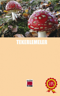 Anonim - Tekerlemeler