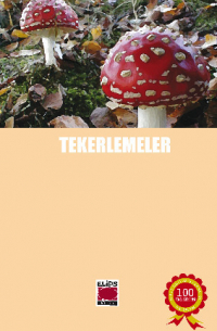 Anonim - Tekerlemeler