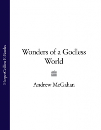 Эндрю Макгэхэн - Wonders of a Godless World
