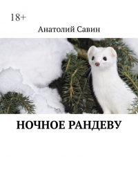 Анатолий Савин - Ночное рандеву