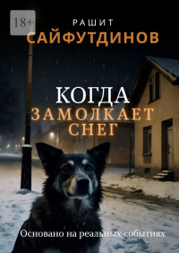 Рашит Равильевич Сайфутдинов - Когда замолкает снег