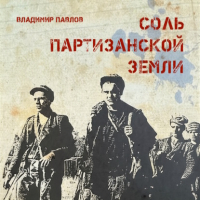 Владимир Павлов - Соль партизанской земли