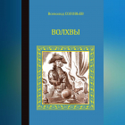 Всеволод Соловьев - Волхвы (сборник)