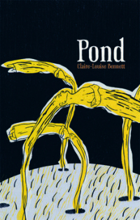 Клэр-Луиз Беннетт - Pond