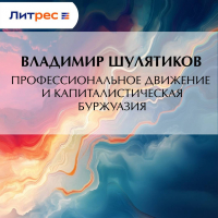 Владимир Шулятиков - Профессиональное движение и капиталистическая буржуазия