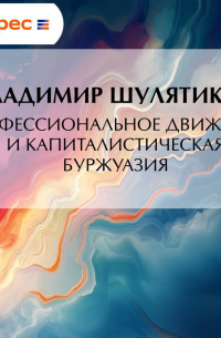 Владимир Шулятиков - Профессиональное движение и капиталистическая буржуазия