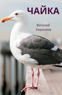 Виталий Кириллов - Чайка