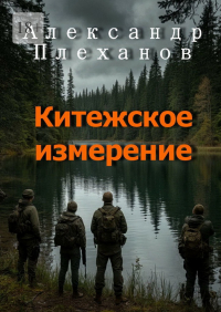 Александр Плеханов - Китежское измерение