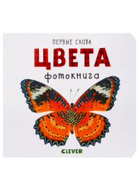 Ольга Уткина - Цвета. Фотокнига