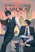 Первоклассный адвокат. Том 2