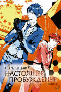 Настоящее пробуждение. The Real Awakening. Книга 3