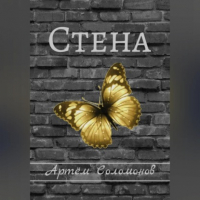 Артём Соломонов - Стена