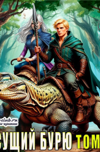 Несущий бурю. Том IV