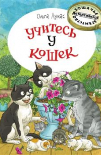 Учитесь у кошек