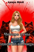 Четыре луны для одной не-волчицы