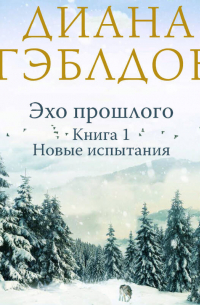 Эхо прошлого. Книга 1. Новые испытания