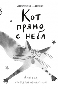 Кот прямо с неба