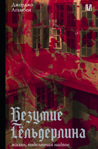 Безумие Гёльдерлина. Жизнь, поделенная надвое