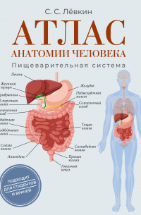 Атлас анатомии человека. Пищеварительная система
