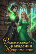 Ведьма-злодейка в академии Некромантов