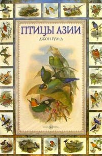 Птицы Азии