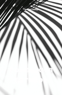 Ромашки в октябре