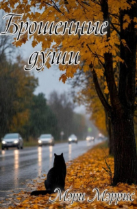 Брошенные души