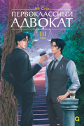Первоклассный адвокат. Том 3