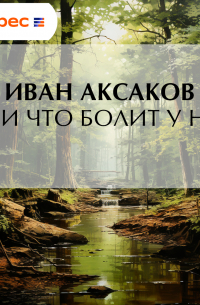 Где и что болит у нас?