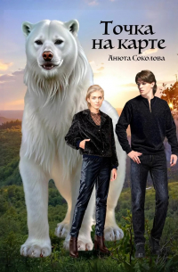 Точка на карте