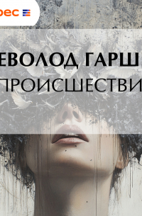 Происшествие